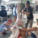 IMG-20260530-WA0017
