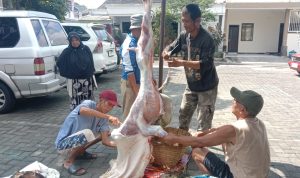 IMG-20260530-WA0017