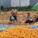 IMG_20260903_215524